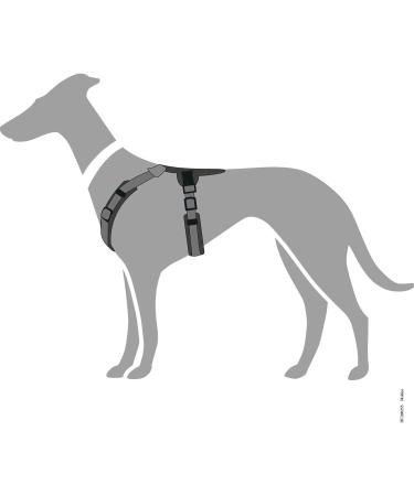 HUNTER Harness Maldon 60-91/ML Black/Grey - Premium Adjustable Dog Harness for Comfortable International Shipping - Buy Online on SooperMarket.com