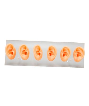 6 Pcs Silicone Ear Model Set for Hearing Aids with Acrylic Display Board - Buy Online on SooperMarket.com