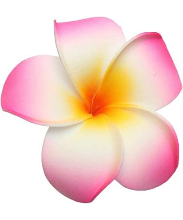 GSHLLO 10 Pcs 7cm Multicolor Hawaiian Foam Flower Hair Clips for Wedding Party - Buy Online on SooperMarket.com