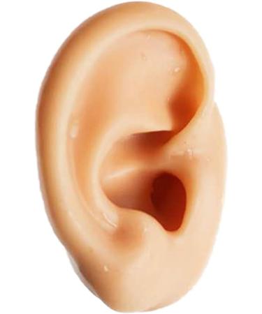 Soft Silicone Ear Sale for Teaching - Silicone Ear Template for Acupuncture - Simulation Silicone Ear Template for Practice - Buy Online on SooperMarket.com