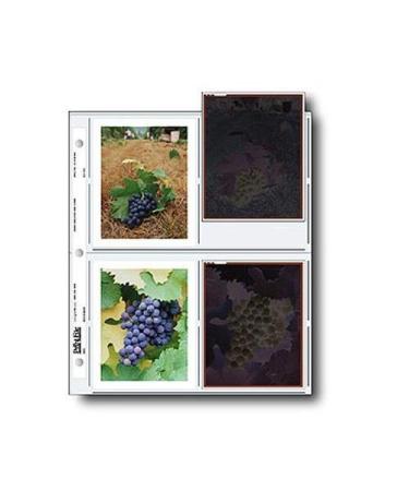 Print File Negative Pages Holds Eight 4x5" Polaroid Prints or Four 4x5" Sleeved Negatives, Pack of 100