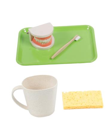 Frcolor 1 Set Early education toy for teeth children's toys for brushing your teeth educational toys for teeth brushing dental teaching toys to brushing your teeth.