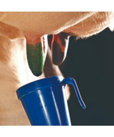Q'mark 2 Pack Teat Dip Cup - 300ml Blue | Non-Return Nipple Cleaning Disinfection for Cow Sheep Goat | Teat Dipper - Buy Online on SooperMarket.com