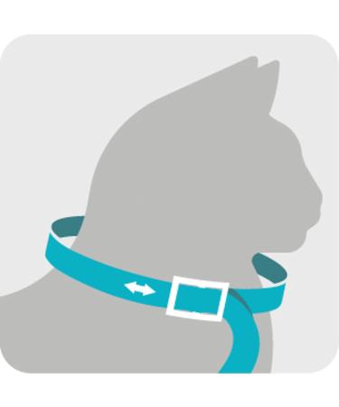 Sergeant's Guardian Flea & Tick Cat Collar - 1 Count | Long-lasting Protection - Buy Online on SooperMarket.com
