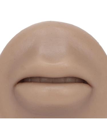 Soft Silicone Mouth Tongue Model for Beauty Salon - Simulated Human Lip Tongue Set for Piercing Practice & Display | Reusable Easy Clean Tools (Type C - Buy Online on SooperMarket.com