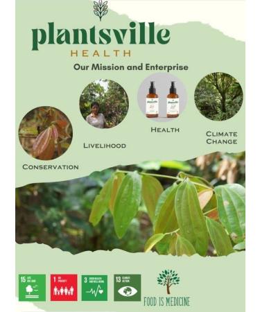Plantsville Health Cinnamon Coco Sugar 150g - Natural Sugar Substitute for Baking & Drinks - Buy Online on SooperMarket.com