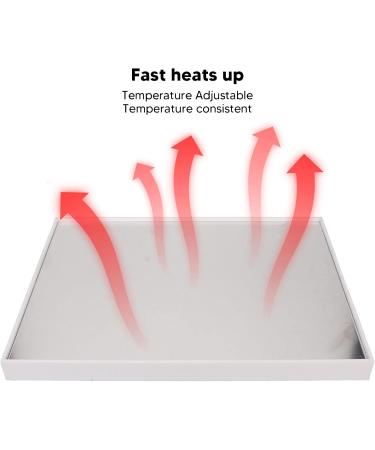 Lotion Heater 3 Timer Essential Oil Bottle Heater for Beauty Salon (US Plug 110V) - Buy Online on SooperMarket.com