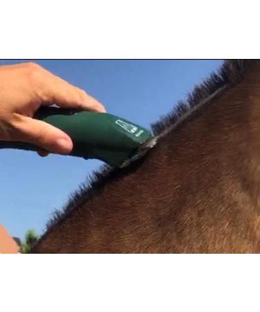 Cordless MD Roamer Cob Kit Horse Clipper/Trimmer with 10F and 7 Skip Blades - for Feathers and Hogging Manes - Buy Online on SooperMarket.com
