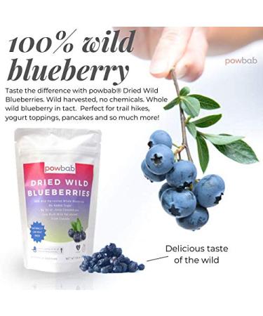 powbab Dried Wild Blueberries - 100% Whole, Unsweetened, Keto, Gluten-free, Vegan - Canada Grown, No Sugar Added, No Sunflower Oil or Apple Juice Concentrate, Sulfite Free - Buy Online on SooperMarket.com