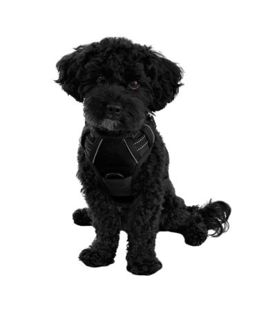 Dog harness for small and medium -sized dogs reflective made of nylon - anti -train dishes ideal for training units with puppies - breathable mesh upholstery (black gr. M) m black