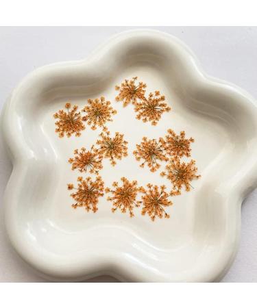 100pcs Ammi Majus Natural Pressed Dried Flowers for Resin, Soap & Candle Making (Orange) - Buy Online on SooperMarket.com