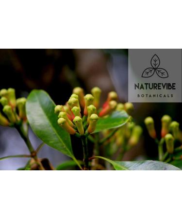 Naturevibe Botanicals Organic Clove Buds 3.53oz - Non-GMO, Gluten Free Indian Spice (100gm) - Buy Online on SooperMarket.com
