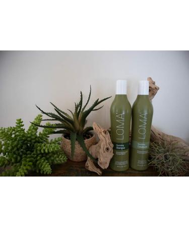 Loma Hair Care Nourishing Shampoo & Conditioner Duo - 2 Piece Set - Buy Online on SooperMarket.com
