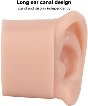 Display Ear Model Reusable Simulated Silicone Practice Ear Model Portable Elastic for Jewelry Store for Beginner(Right) - Buy Online on SooperMarket.com