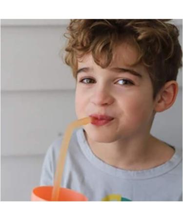 b.box Reusable Silicone Straw Travel Set x 2 - Buy Online on SooperMarket.com