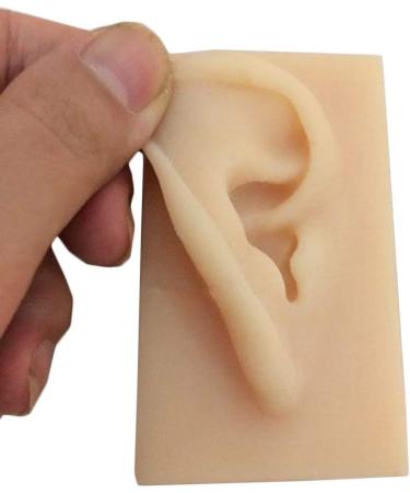 Human Ear Model Flexible Soft Silicone Imitation Real Ear Teaching Model -1 Pair Ear Mold Artificial Display Sample Educational Resources in Scienc - Buy Online on SooperMarket.com