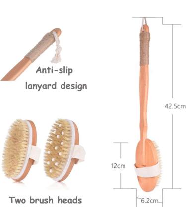 Spclsim Bath Brush Set - Body Exfoliating & Back Cleaning Scrubber with Long Wooden Handle - Buy Online on SooperMarket.com