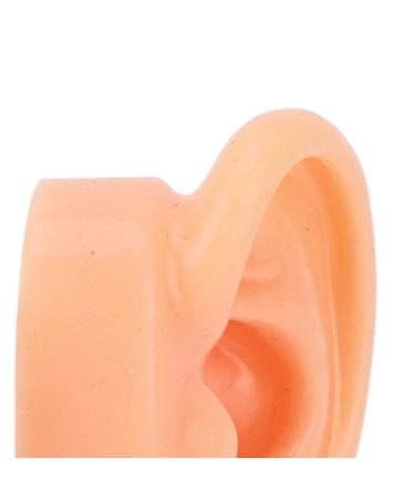 Soft Waterproof Ear Display Model | Simulated Model for Doctors & Centers - Buy Online on SooperMarket.com