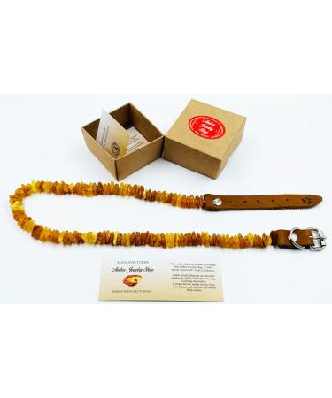 Amber Jewelry Shop Amber Necklace for Dogs Amber Collar for Dogs Natural Baltic Amber Beads 35-40 - Buy Online on SooperMarket.com