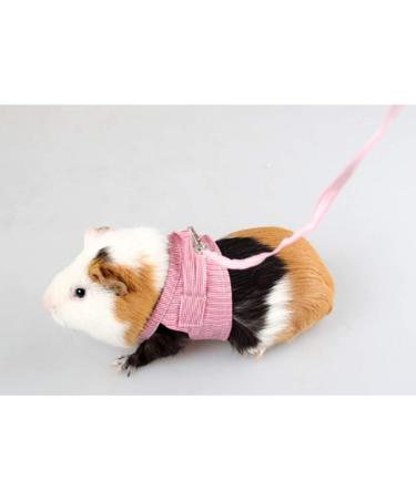 YJZQ Guinea Pigs Safety Harness Adjustable Stripe Pet Harness Vest Lead Rope for Rats Iguana Hamster Ferrets Small Animal Pet Training or Walking red - Buy Online on SooperMarket.com