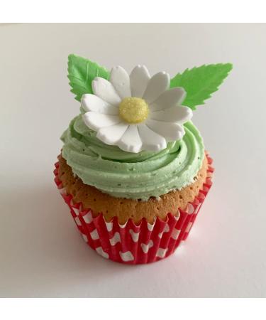 Holly Cupcakes 6 Beautiful Sugar Daisies & 12 Pretty Edible Wafer Leaves