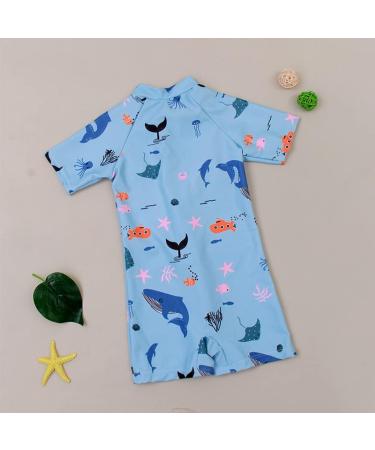 PythJooh Baby Boy Shark Print Swimsuit Rash Guard One Piece | 18-24 Months | Beach Swimwear for Boys 0-5 Years - Buy Online on SooperMarket.com