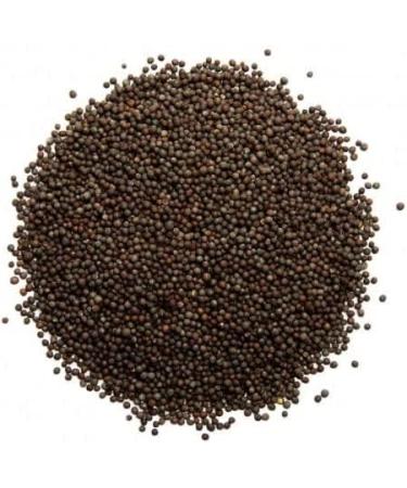 Veenas Mustard Seeds | 800G | Natural | Whole Mustard | High Fibre | High Protein | Indian Origin | Gluten Friendly (Pack of 3) - Buy Online on SooperMarket.com