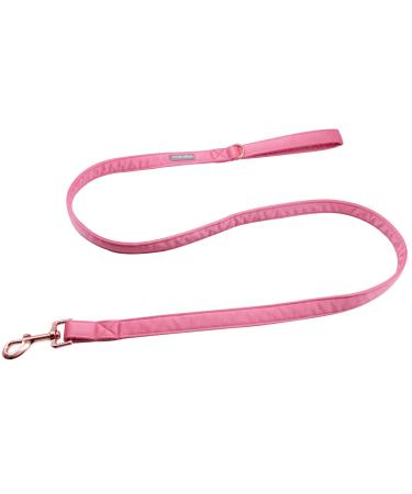 Lionet Paws Dog Leash - Silk Leash for Small Medium Large Dogs Matching Collars for Girls and Boys S Leash (Pack of 1) Peach