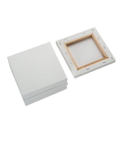SL crafts Artist Mini Stretched Canvas 6x6 Professional Quality Frame Canvas Pack of 6