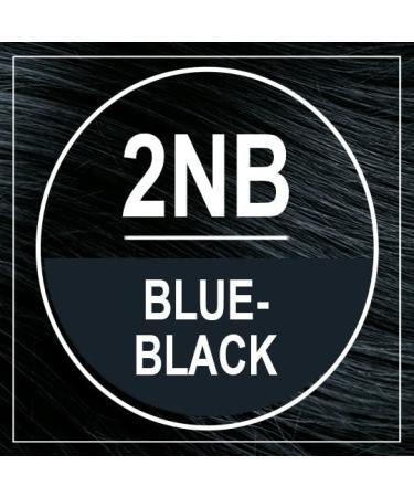 Naturtint 2NB Blue Black Permanent Hair Color - Ammonia Free, Vegan, Cruelty Free, Up to 100% Gray Coverage, Long Lasting Results - Buy Online on SooperMarket.com
