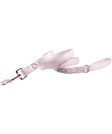Lionet Paws Dog Leash - Silk Leash for All Dog Sizes | Matching Collars in Pink for Boys & Girls | Ideal XS Dog Leash (Pack of 1) - Buy Online on SooperMarket.com