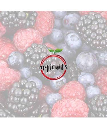 Buy Myfruits Bio Cocoa Nibs 250g - Sugar-Free Additive-Free Gently Roasted for Baking & Muesli - Buy Online on SooperMarket.com