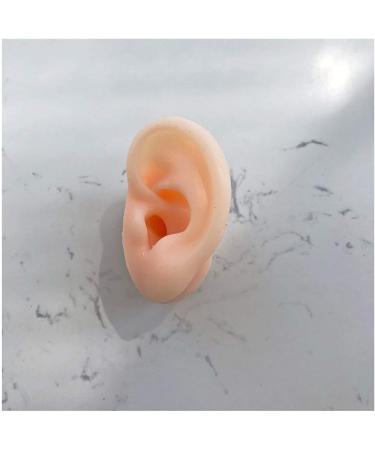 Ear Model - Soft Silicon Silicone Simulation Model of Acupuncture Ear Ear Picking Practice The Studs Earring Display Props - Buy Online on SooperMarket.com