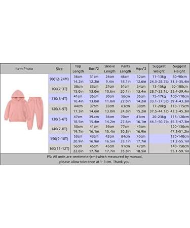 MYGBCPJS Youth 2PCS Jogger Outfits Set | Fleece Hooded Sweatshirt + Sweatpants | Boys Girls Athletic Sweatsuits | 2-3T Fleece Hooded Set 07 - Buy Online on SooperMarket.com