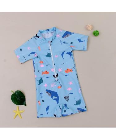 PythJooh Baby Boy Shark Print Swimsuit Rash Guard One Piece | 18-24 Months | Beach Swimwear for Boys 0-5 Years - Buy Online on SooperMarket.com