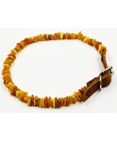 Amber Jewelry Shop Amber Necklace for Dogs Amber Collar for Dogs Natural Baltic Amber Beads 35-40 - Buy Online on SooperMarket.com