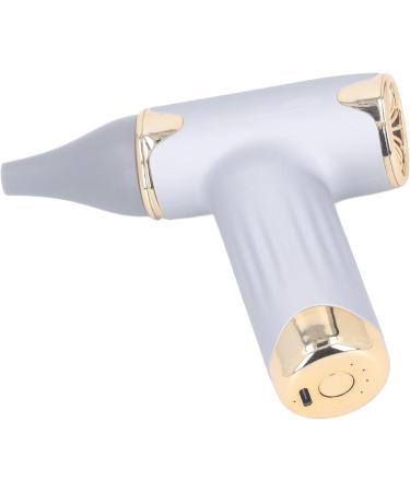 Alomejor Mini Fan - Portable Bladeless Hair Dryer for Pets | 4 Wind Levels 1100mAh Battery - Ideal for Cats & Dogs (Silver - Buy Online on SooperMarket.com