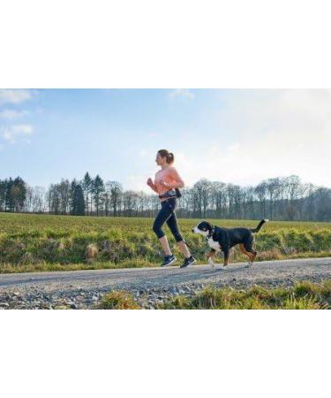 HUNTER Jasper Anti-Jerk Leash & Jogging Belt - Shock Absorber Reflective Red/Black & Red/Grey - One Size | Buy Internationally - Buy Online on SooperMarket.com