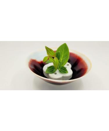 Eco-Friendly Lotus Shaped Clay Floral Holder for Happy and Wealthy Floral Arrangements - White, 2.76 inches - Buy Online on SooperMarket.com