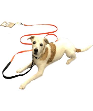 Stainless Steel Dog Holder for Camping | Drivable Ground Anchor for Motorhome & Caravan - Ultimate Stability - Buy Online on SooperMarket.com