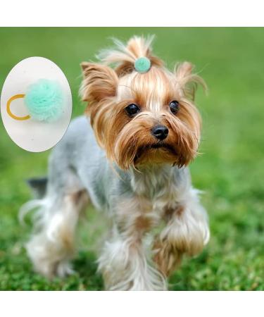Qearl 48 Pcs Colored Ball Dog Ties Small Dog Bows - Pet Grooming Hair Accessories for Puppy & Cat - Buy Online on SooperMarket.com