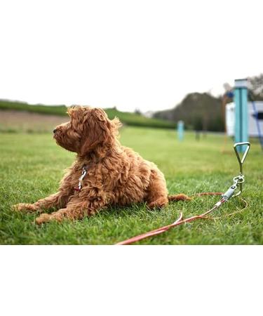 Rosewood Yard Accessories Stake-Out Spike - Durable and Versatile Outdoor Garden Tool - Buy Online on SooperMarket.com