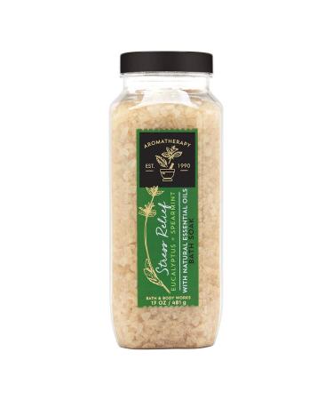 Bath & Body Works Bath & Body Works Aromatherapy Stress Relief Eucalyptus Spearmint 17.0 Oz Bath Soak  17.0 Oz
