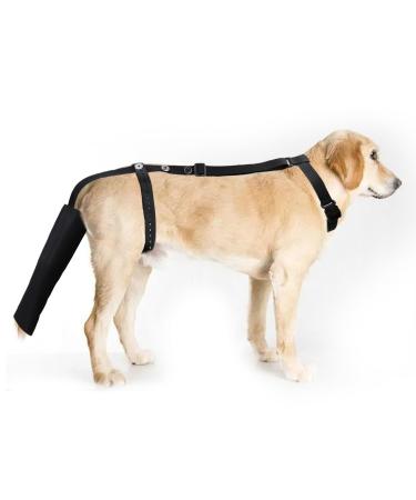 vomvomp Dog Tail Guard Dogs Tail Protector Bag Dogs Tails Heal Sleeve for Dog Happy Tail Syndrome