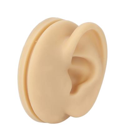 Human Ear Model Left Ear Soft Lifelike Fake Ear Model for Teaching Demonstration