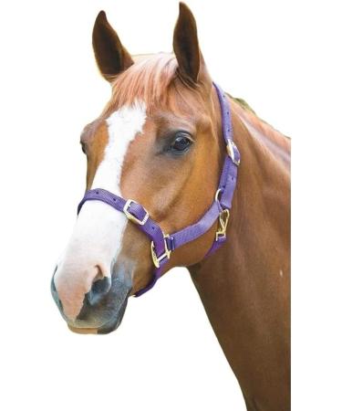 Shires Adjustable Pony/Horse Headcollar - Black Full Navy Full - Buy Online on SooperMarket.com