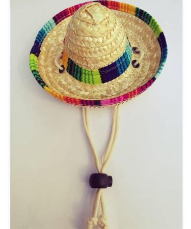 1 PCS Pet Straw Hat Funny Mini Mexican Hats Mexican Sombrero Cap Dog Sombrero Hat for Fiesta Carnival Mexican Theme Party Decorations Dogs Cats Party Favors - Buy Online on SooperMarket.com