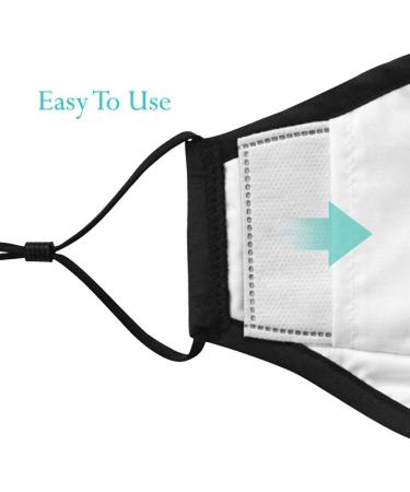 100 PM 2.5 Face Mask Filters - 5 Layer Activated Charcoal Filters for Washable Masks | International Shipping Available - Buy Online on SooperMarket.com