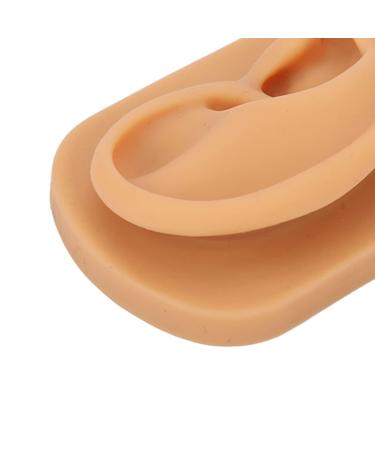 Soft Silicone Kadimendium Ear Model - Waterproof and Easy to Observe | Right Ear Model for Display - Buy Online on SooperMarket.com