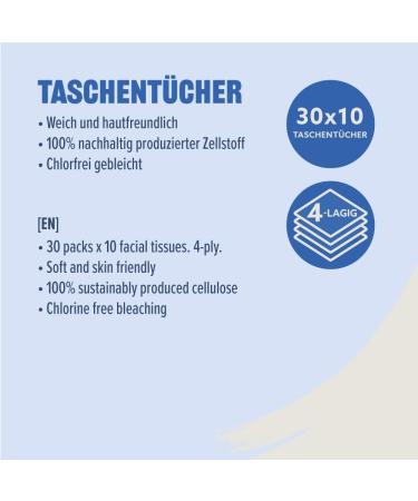 Buy Amazon 4-Ply Tissues - 300 Pieces (30 Packs of 10) | Soft & Strong International Shipping - Buy Online on SooperMarket.com